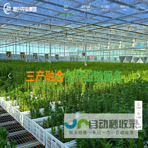 北京恒升农业集团-现代农业-智能温室-专业的农业解决方案-设施农业